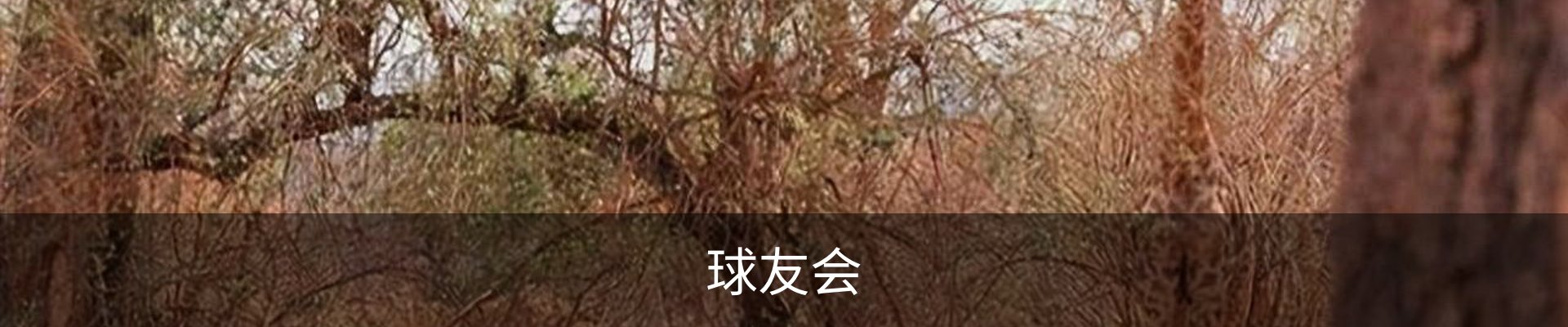 球友会